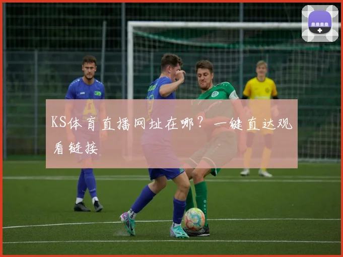 KS体育直播网址在哪？一键直达观看链接